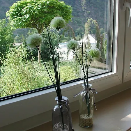 Apartment Pusteblume