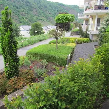 Pusteblume Cochem