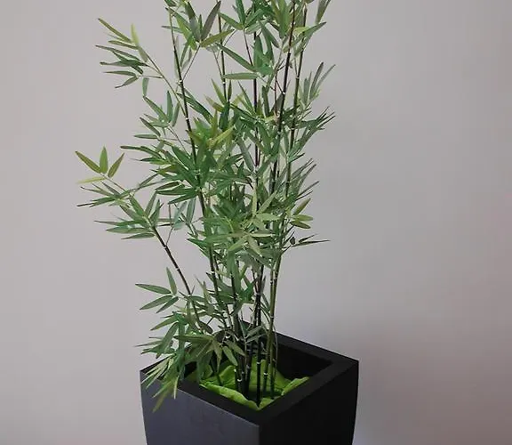 Апартаменты Pusteblume