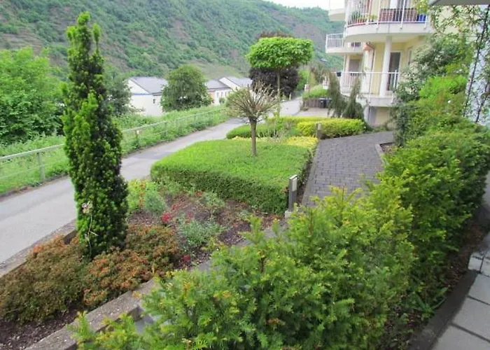 Pusteblume Кохем